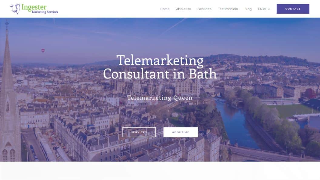Ingester Marketing Services